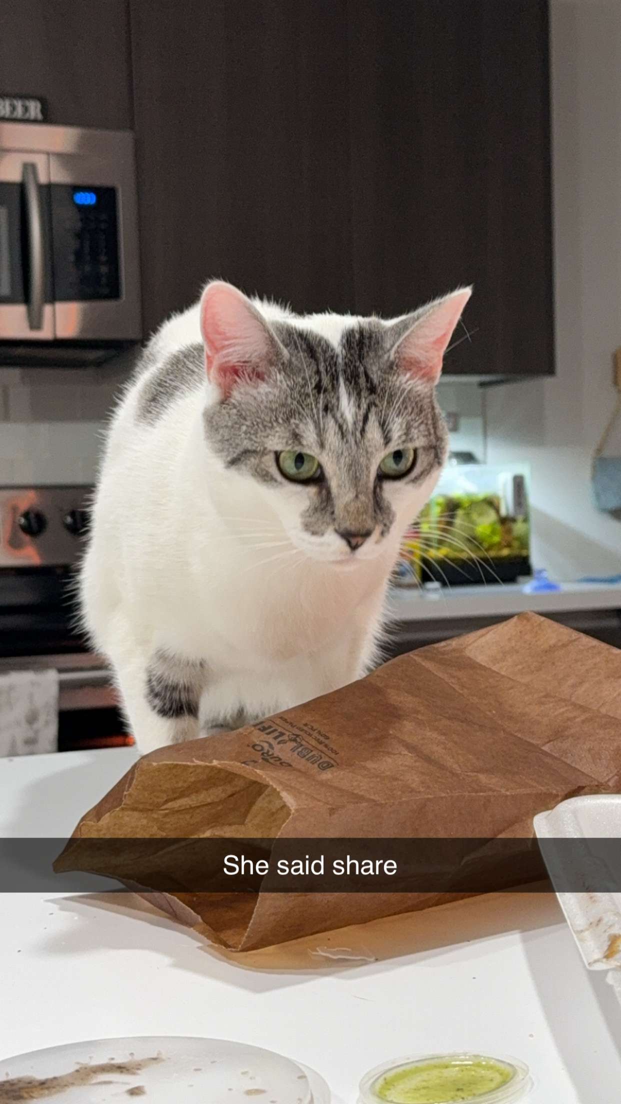 kydoddss snapchat image archive image