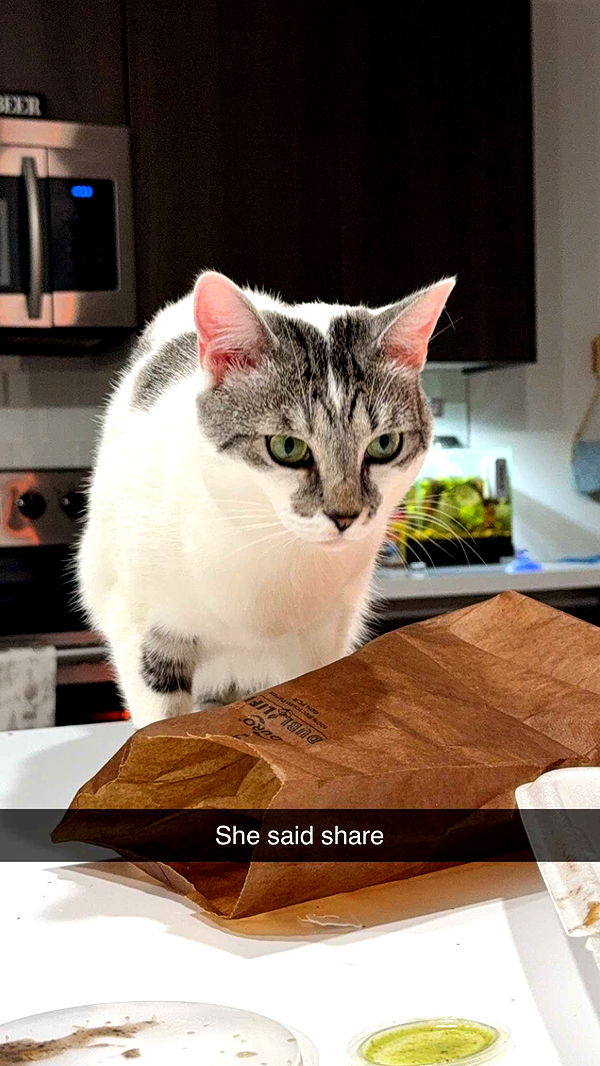 kydoddss image ~ Altpins