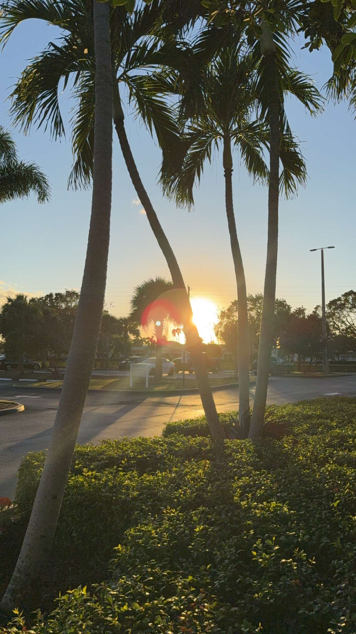 kydoddss snapchat image archive image