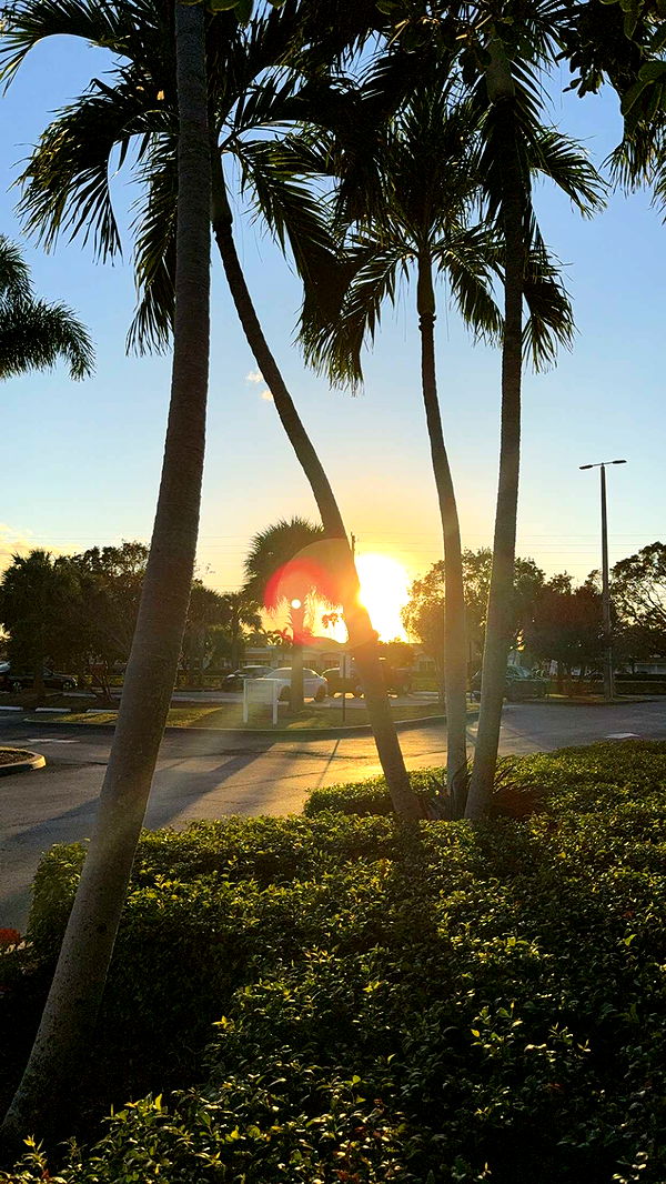 kydoddss image ~ Altpins