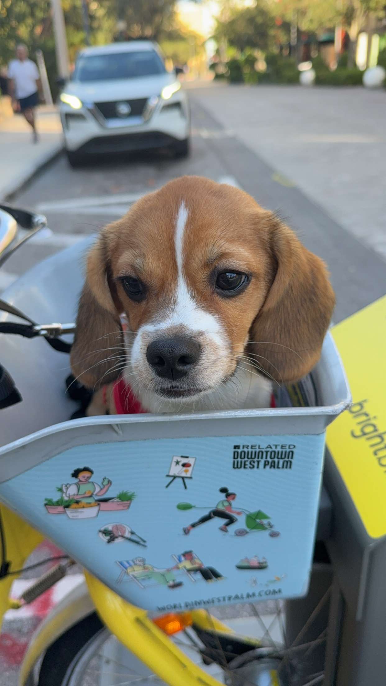 kydoddss snapchat image archive image