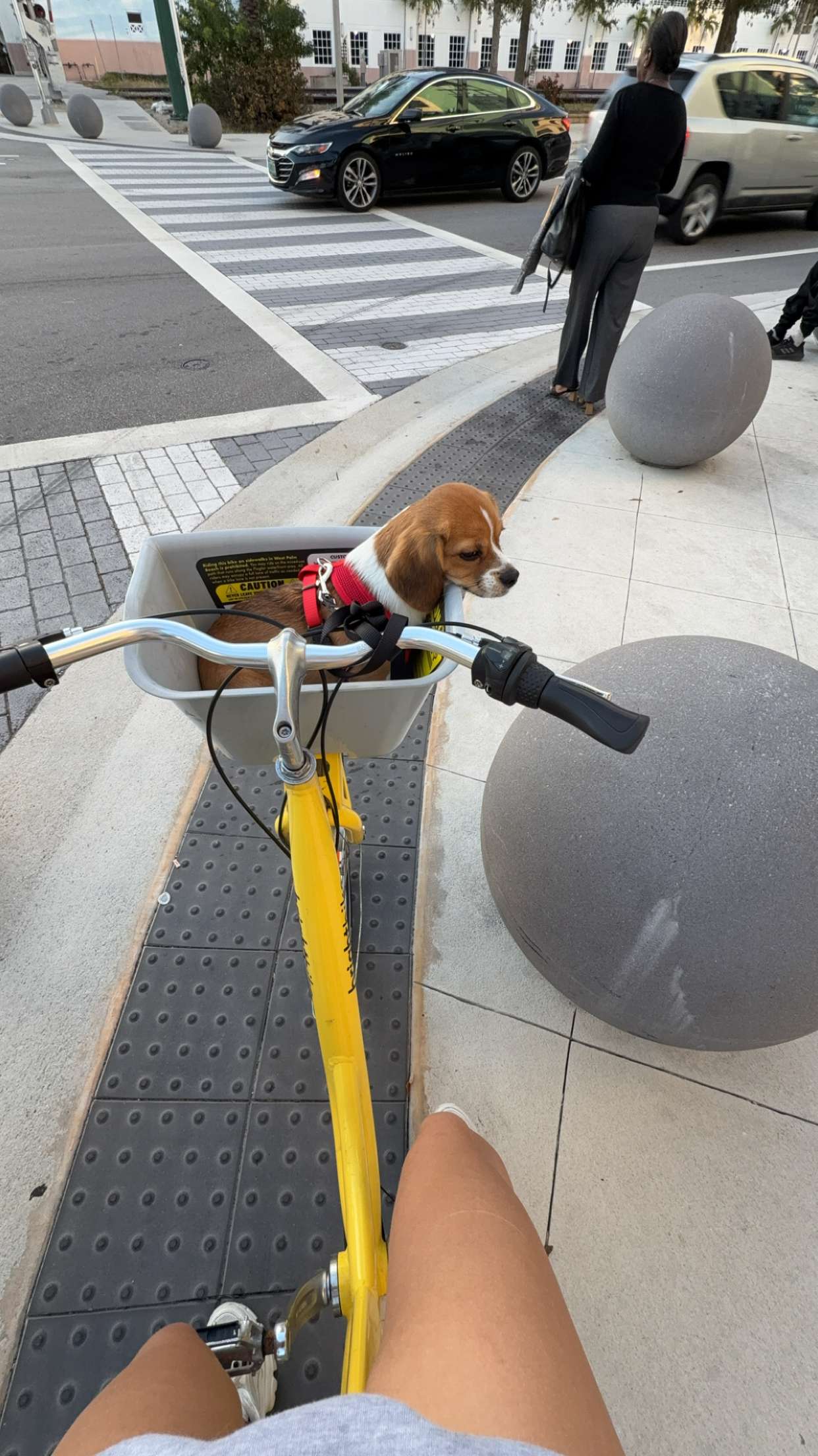 kydoddss snapchat image archive image