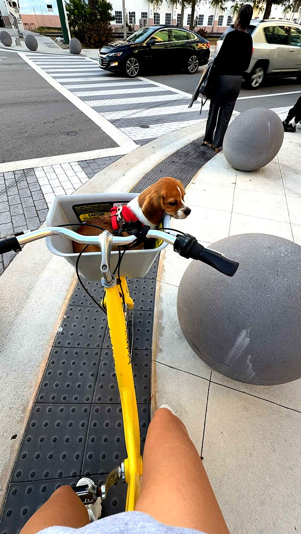 kydoddss image ~ Altpins