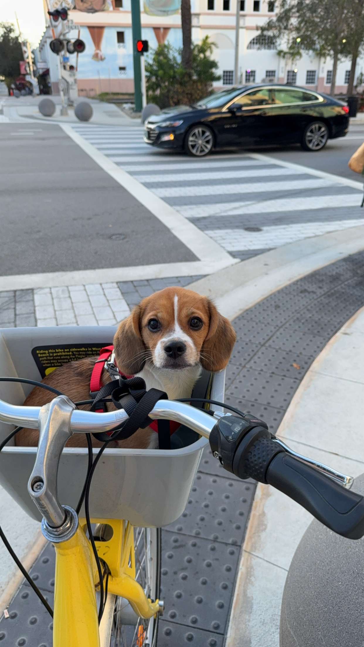 kydoddss snapchat image archive image