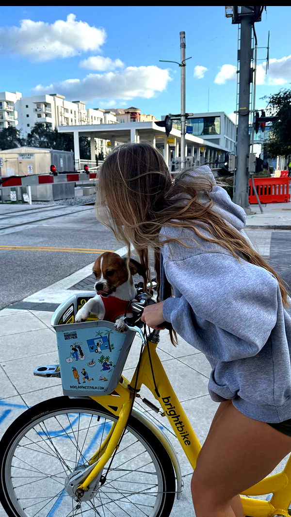 kydoddss image ~ Altpins