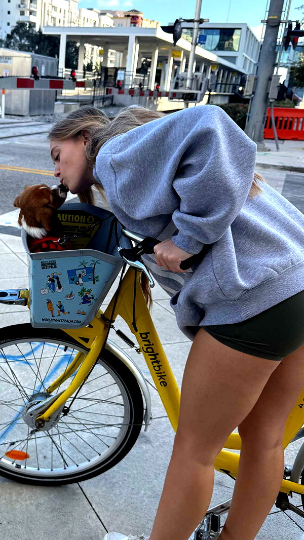 kydoddss image ~ Altpins