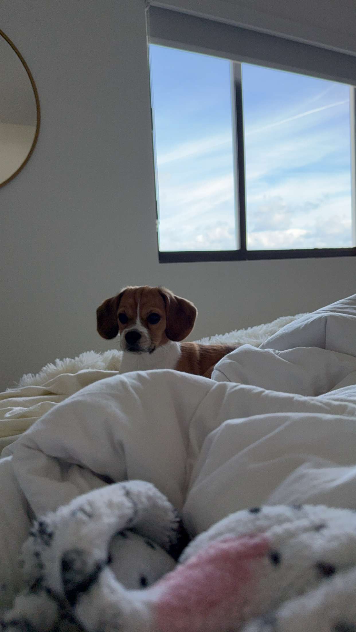 kydoddss snapchat image archive image