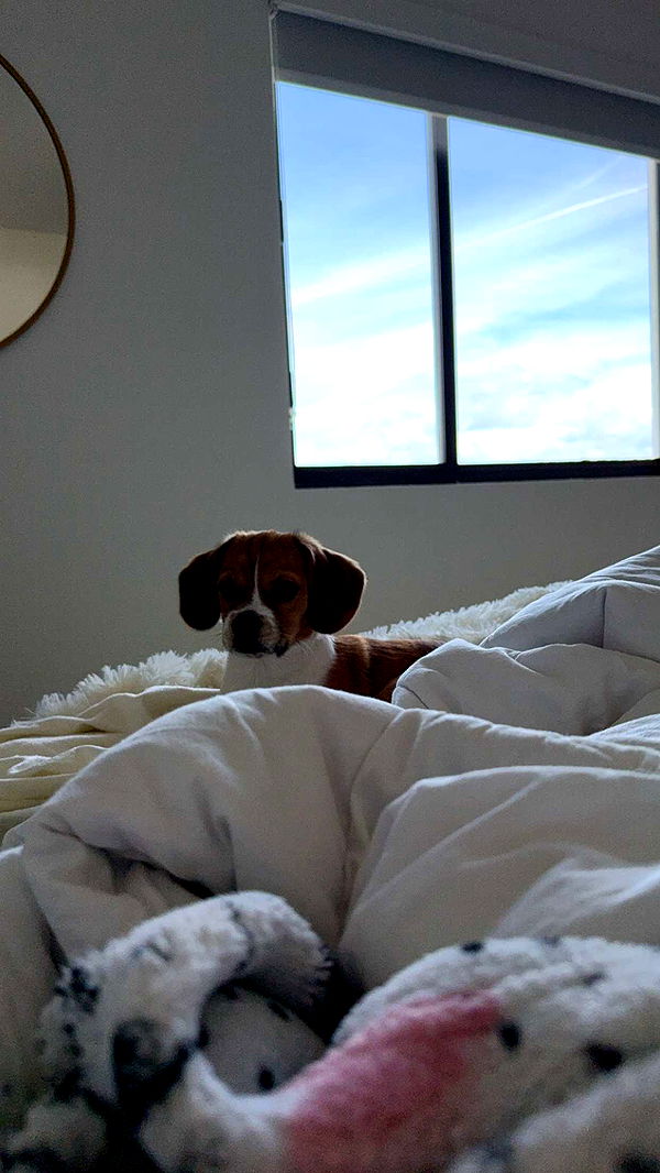 kydoddss image ~ Altpins