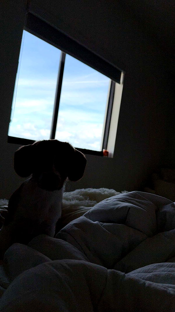 kydoddss image ~ Altpins