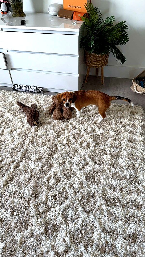 kydoddss image ~ Altpins