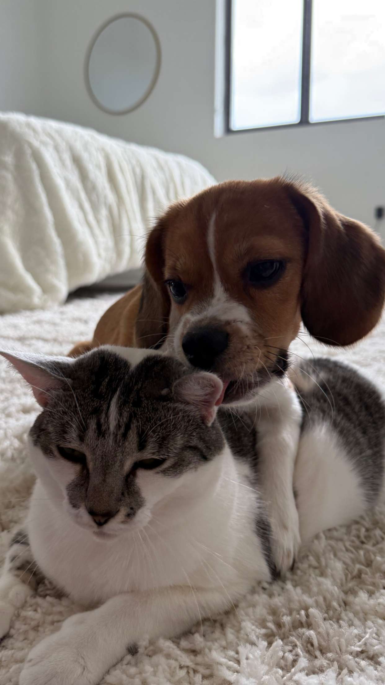 kydoddss snapchat image archive image