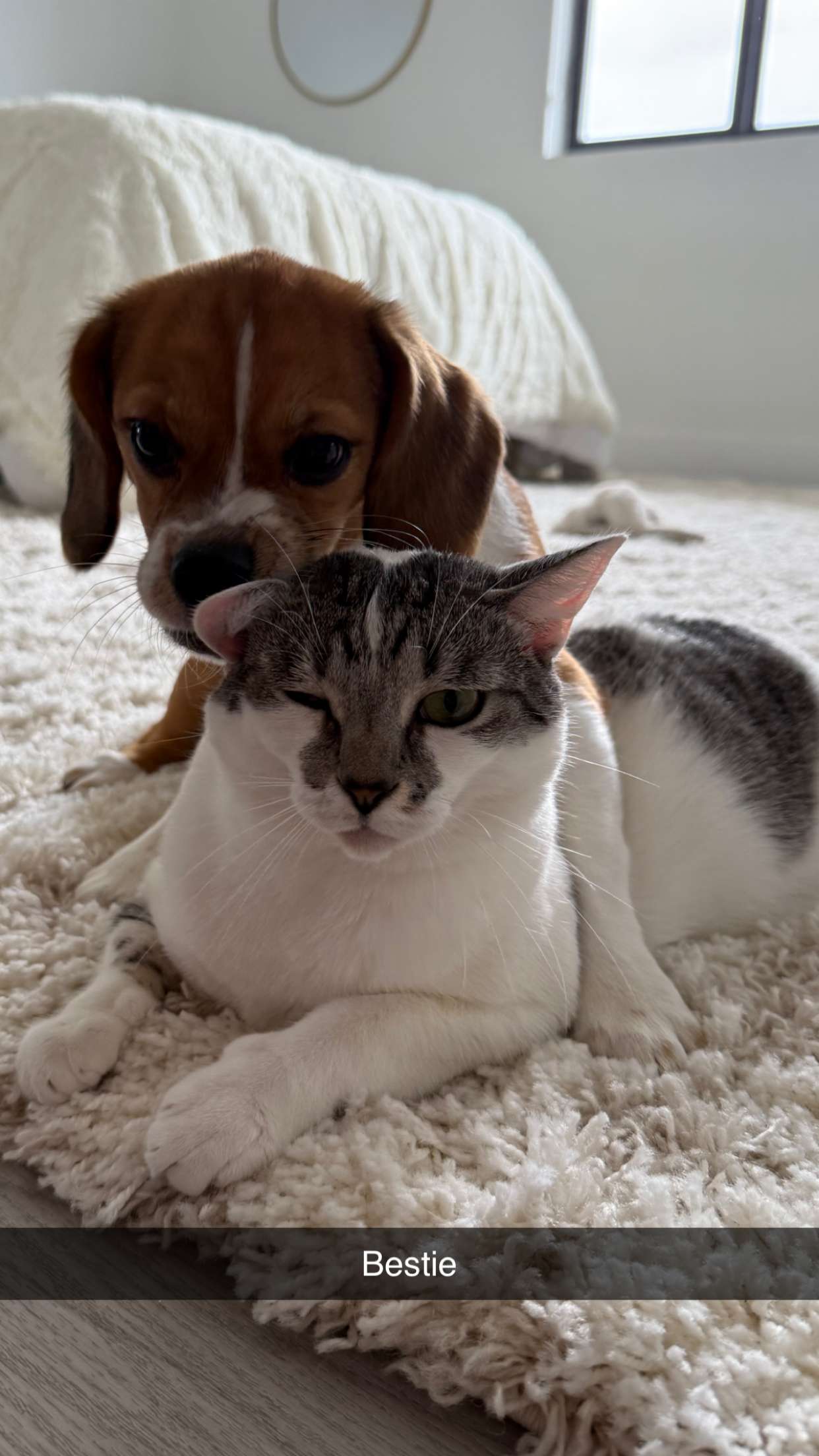 kydoddss snapchat image archive image