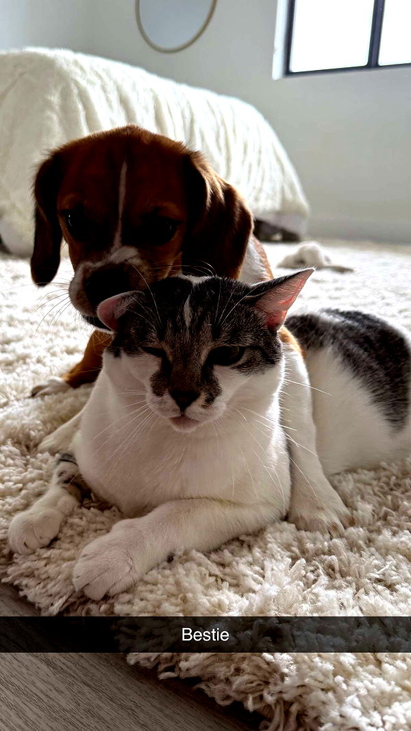 kydoddss image ~ Altpins