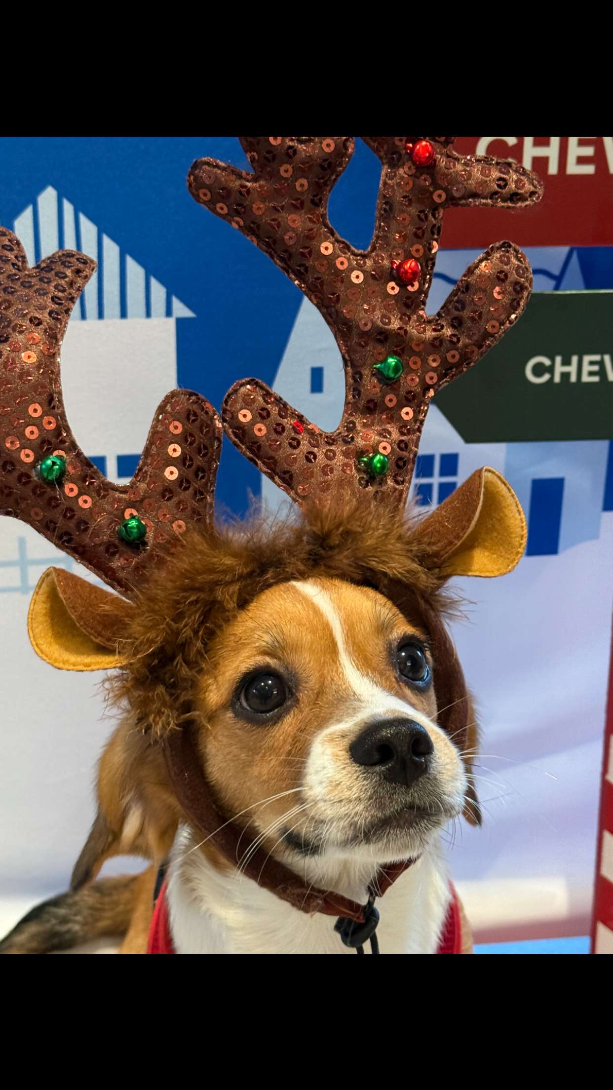 kydoddss snapchat image archive image