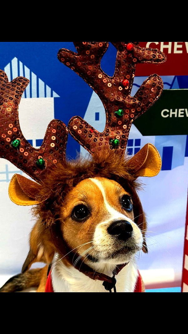 kydoddss image ~ Altpins