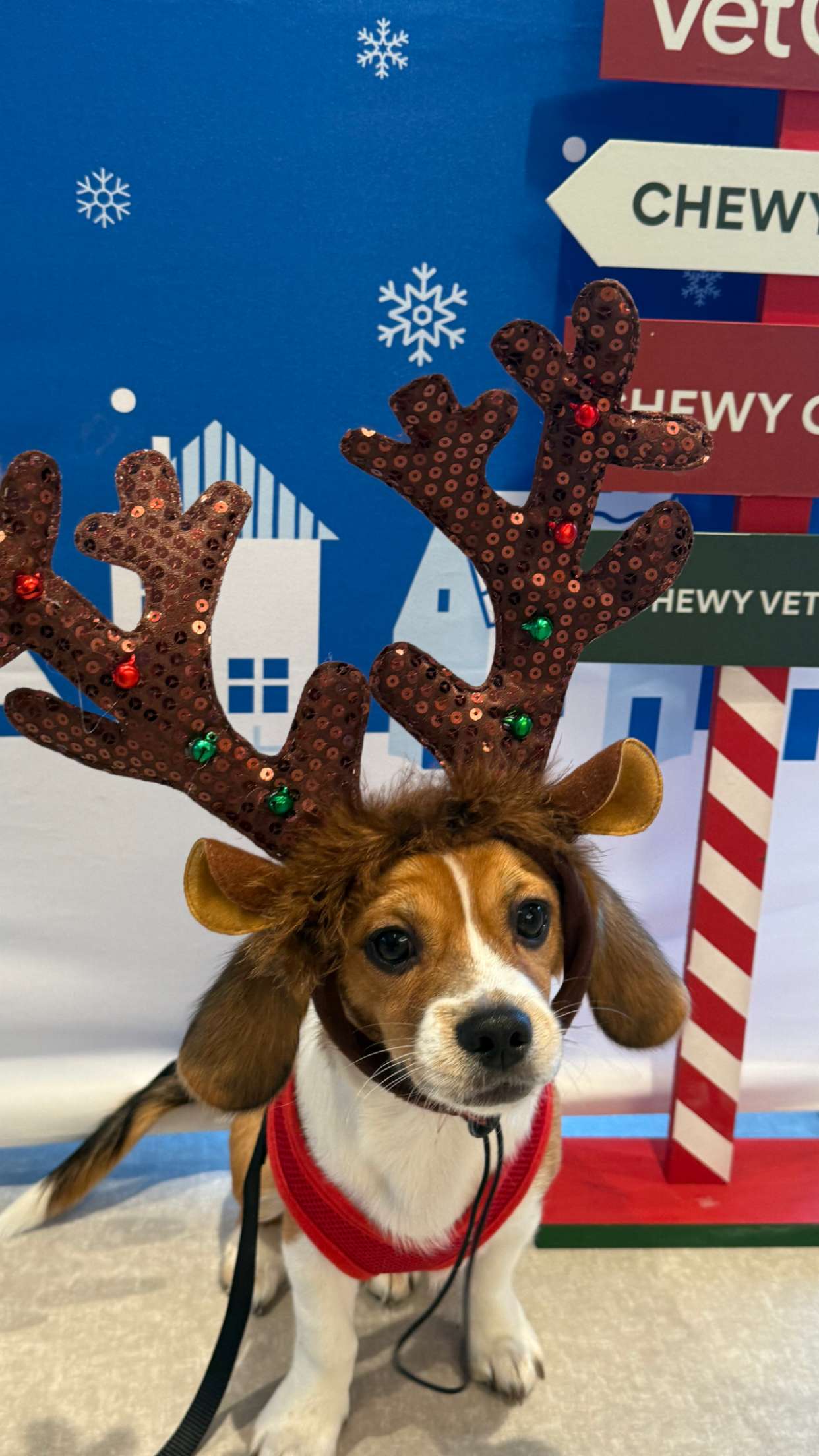 kydoddss snapchat image archive image