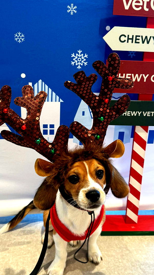 kydoddss image ~ Altpins