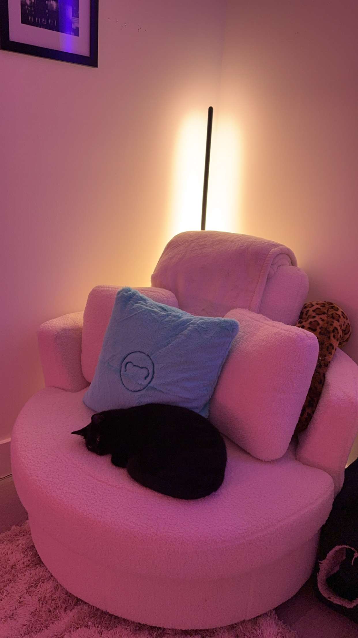 kydoddss snapchat image archive image