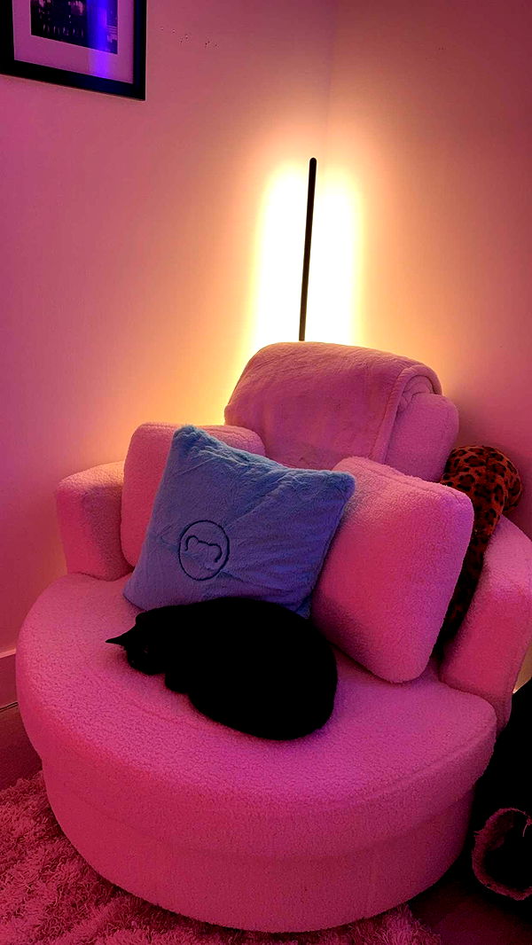 kydoddss image ~ Altpins