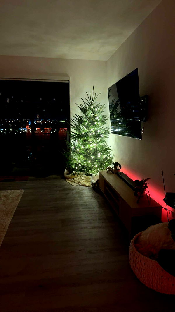 kydoddss image ~ Altpins