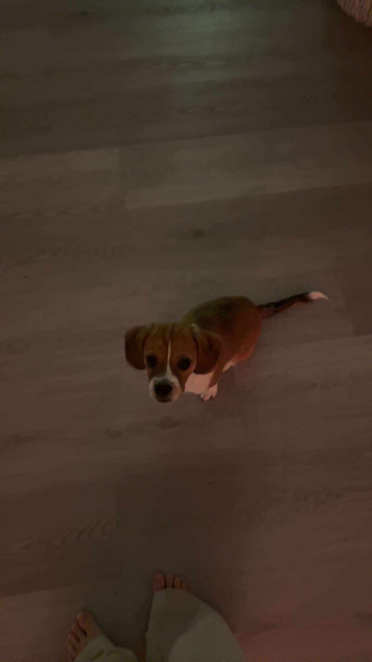 kydoddss snapchat image archive image