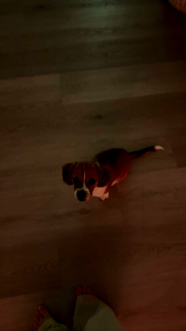 kydoddss image ~ Altpins