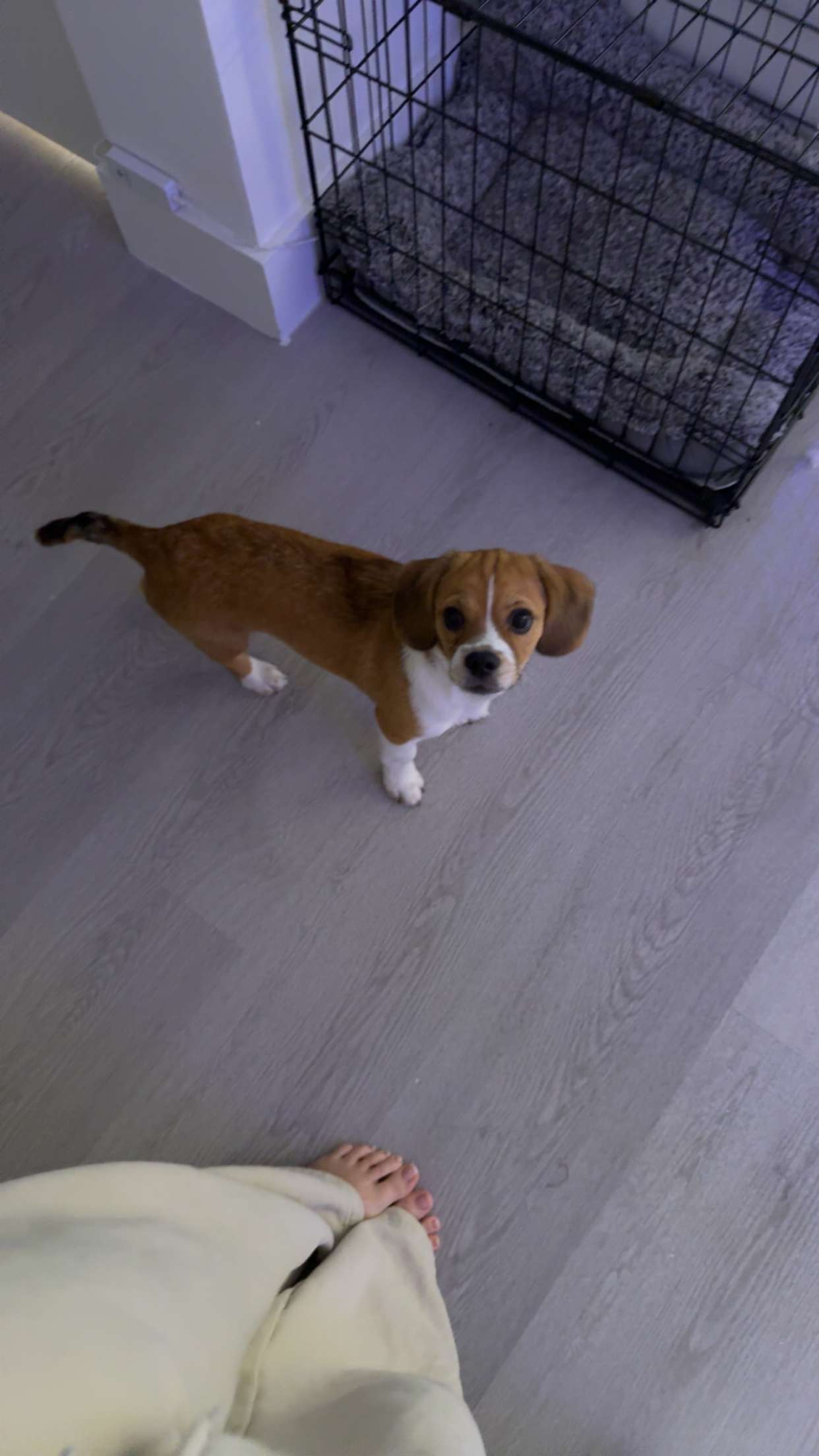 kydoddss snapchat image archive image