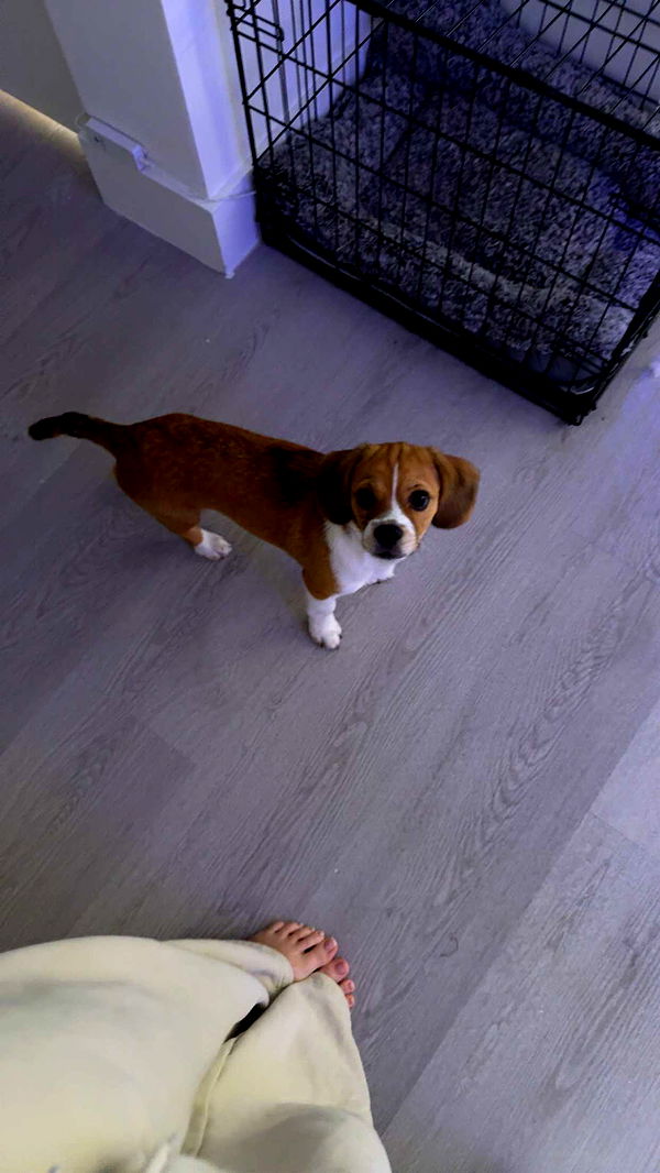 kydoddss image ~ Altpins