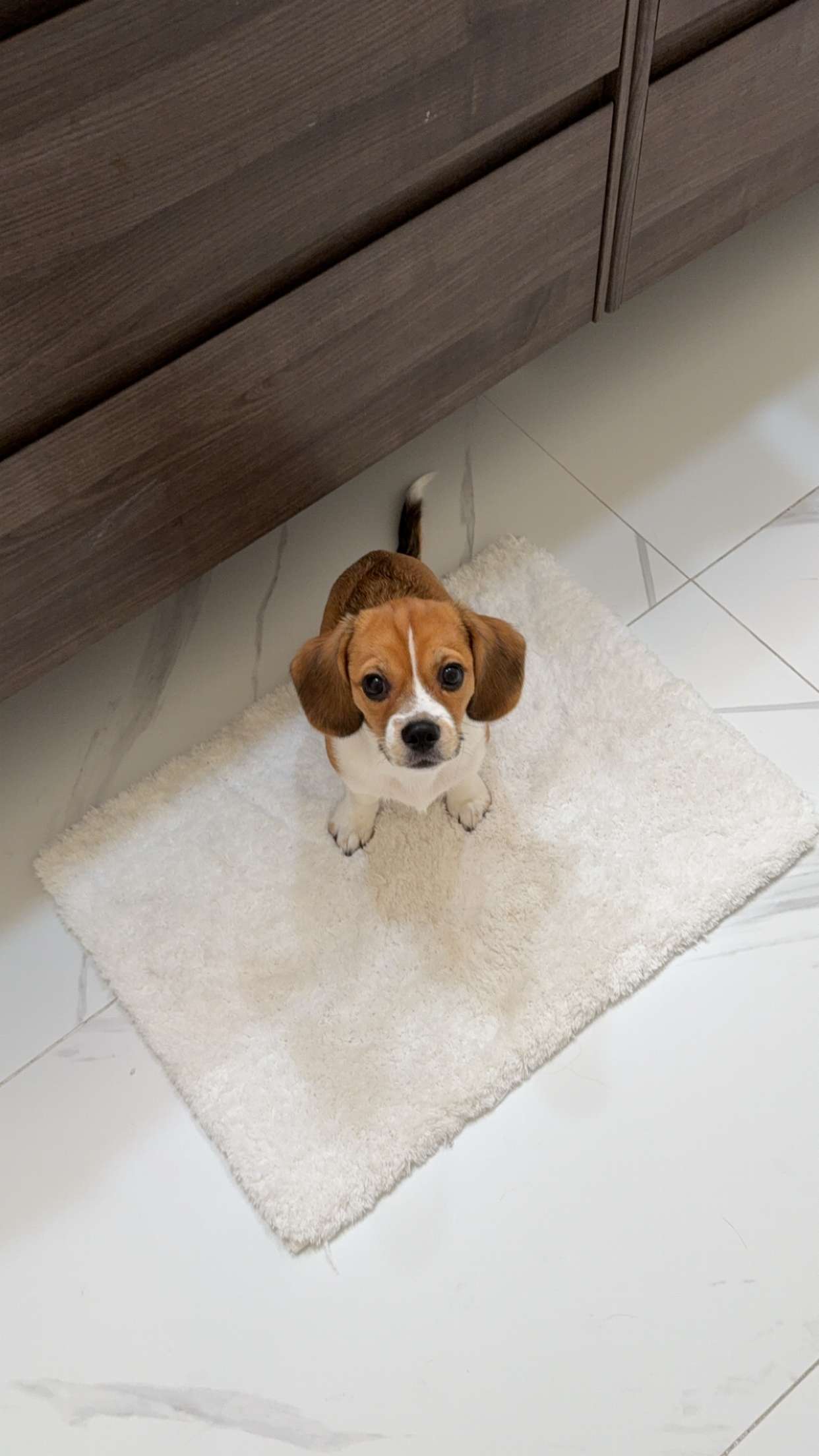 kydoddss snapchat image archive image