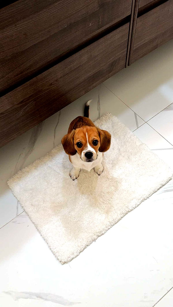 kydoddss image ~ Altpins