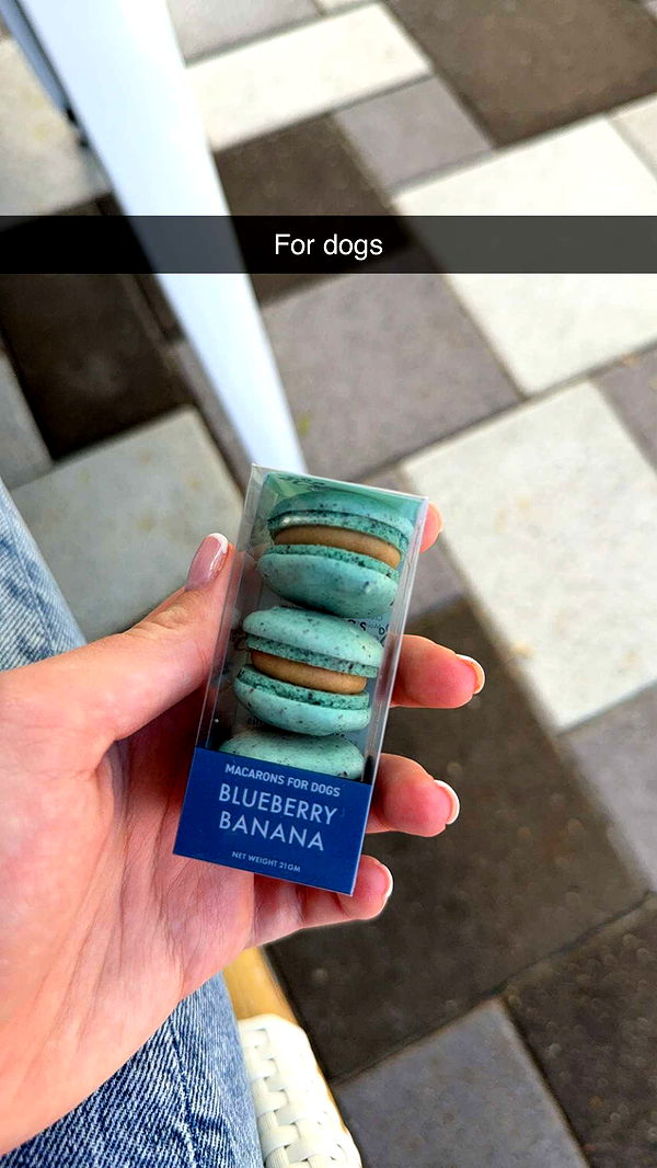 kydoddss image ~ Altpins