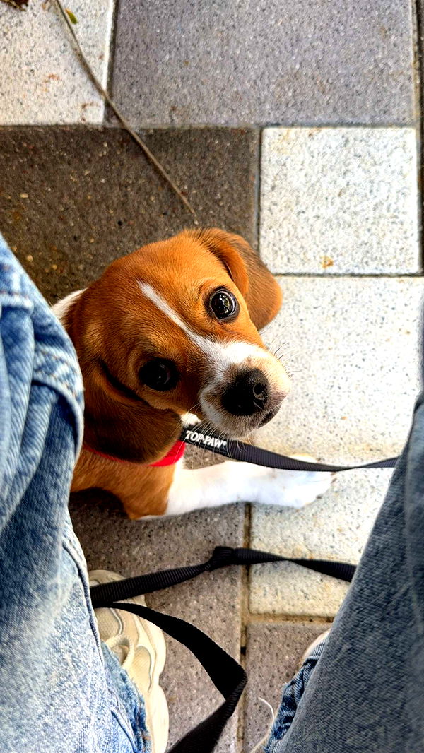 kydoddss image ~ Altpins