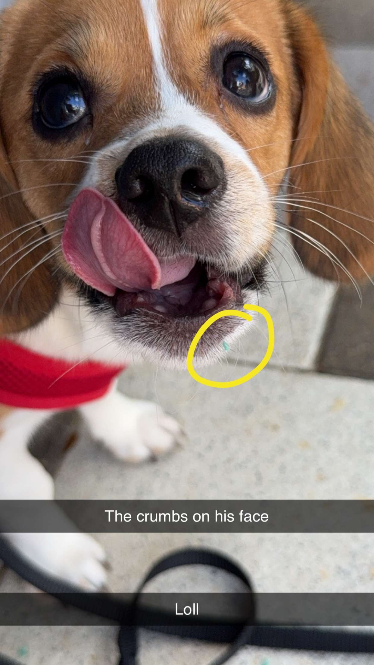 kydoddss snapchat image archive image