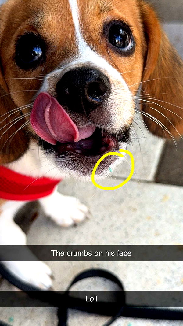 kydoddss image ~ Altpins