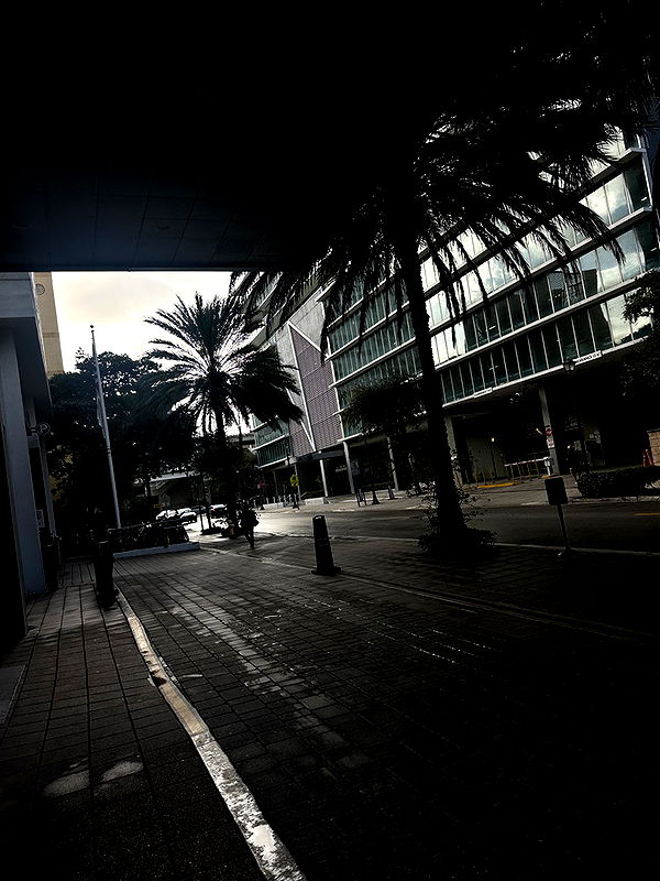 kydoddss image ~ Altpins