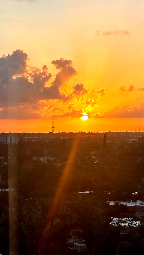 kydoddss image ~ Altpins