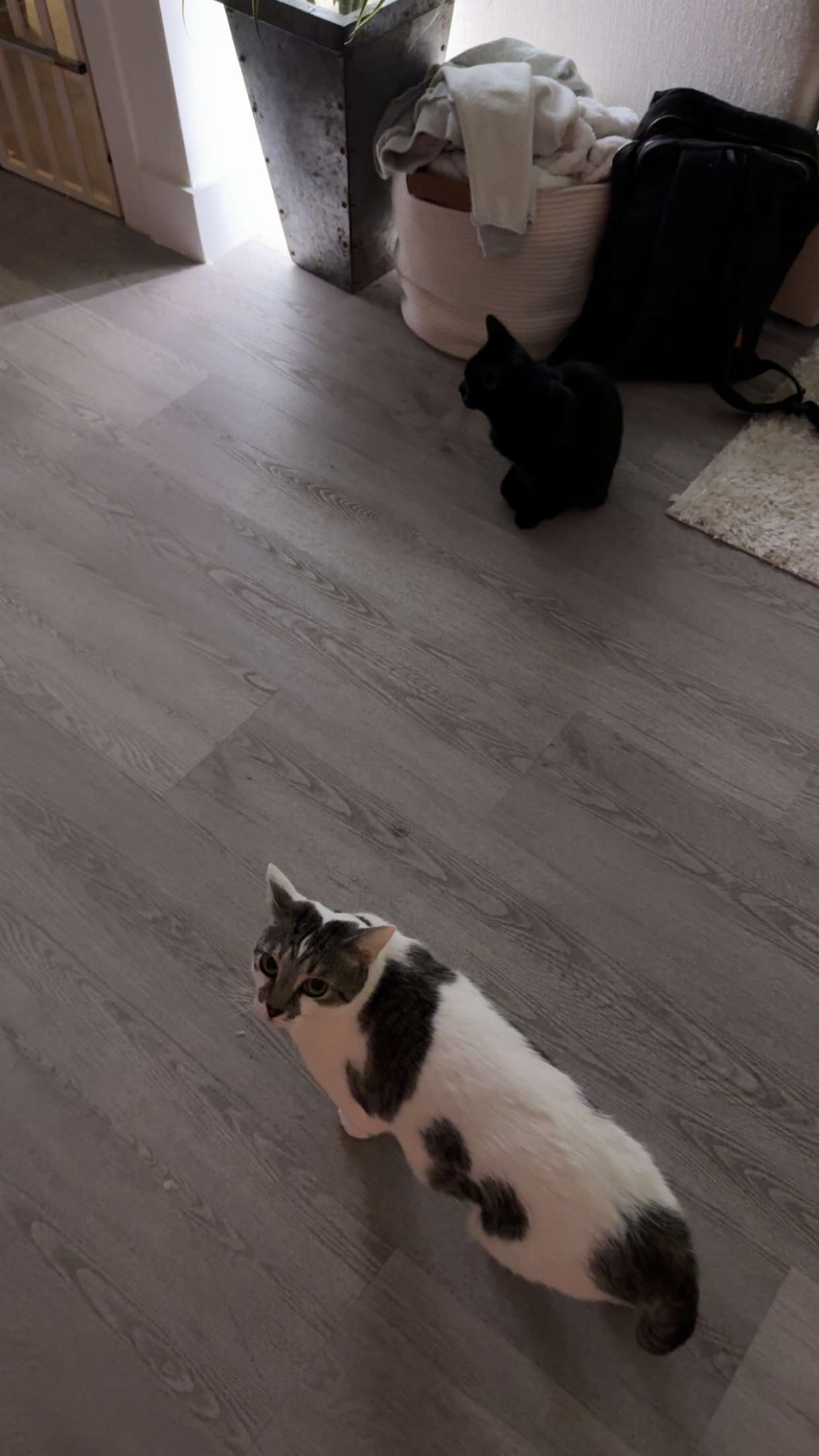 kydoddss snapchat image archive image