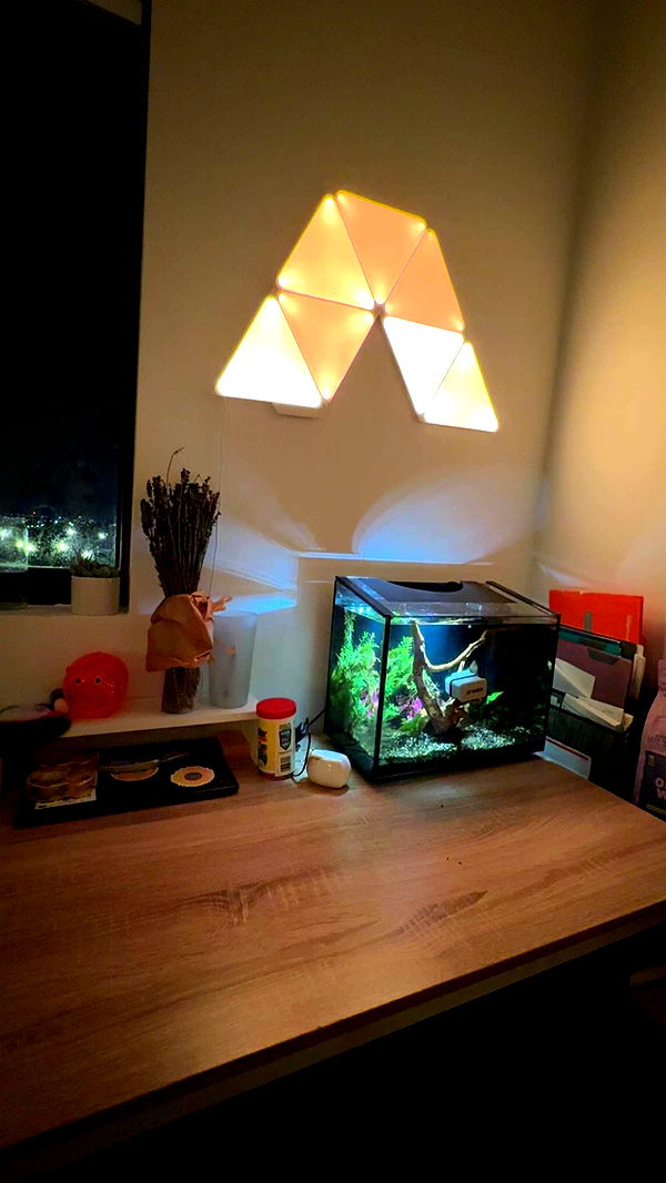 kydoddss image ~ Altpins