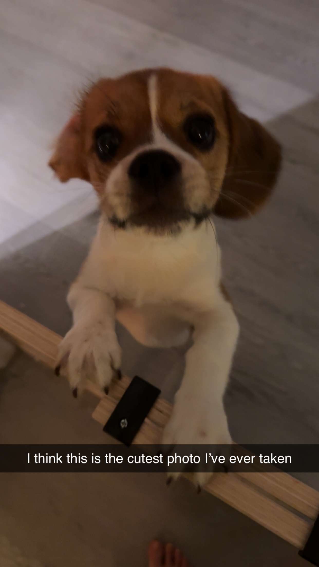 kydoddss snapchat image archive image