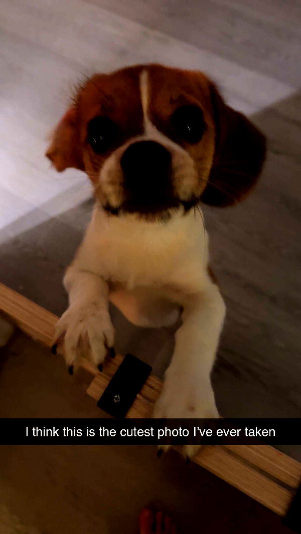 kydoddss image ~ Altpins