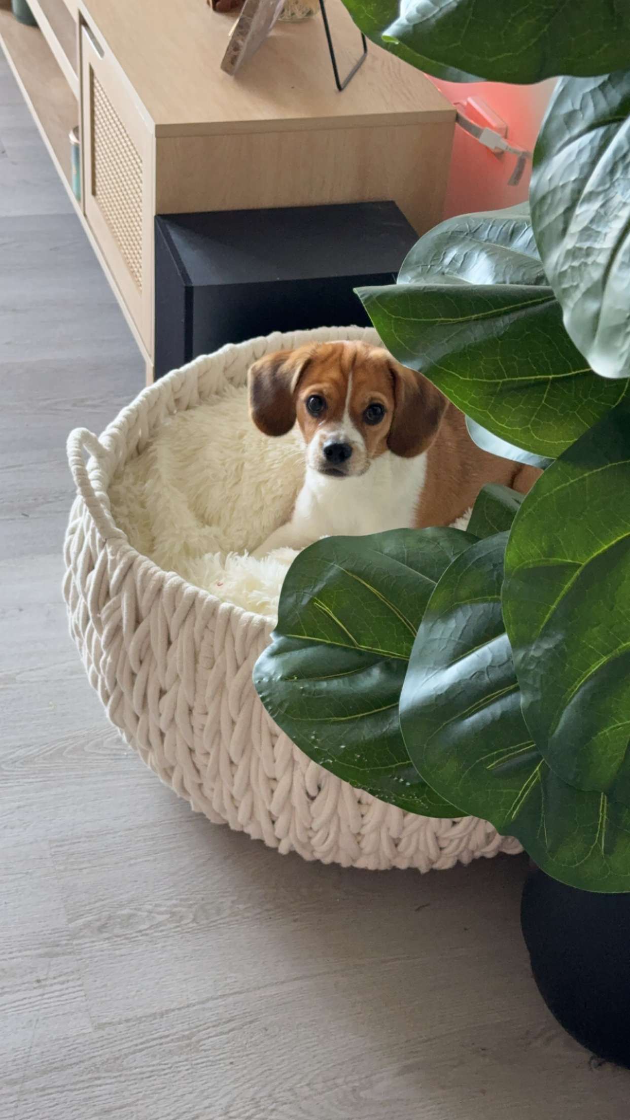 kydoddss snapchat image archive image