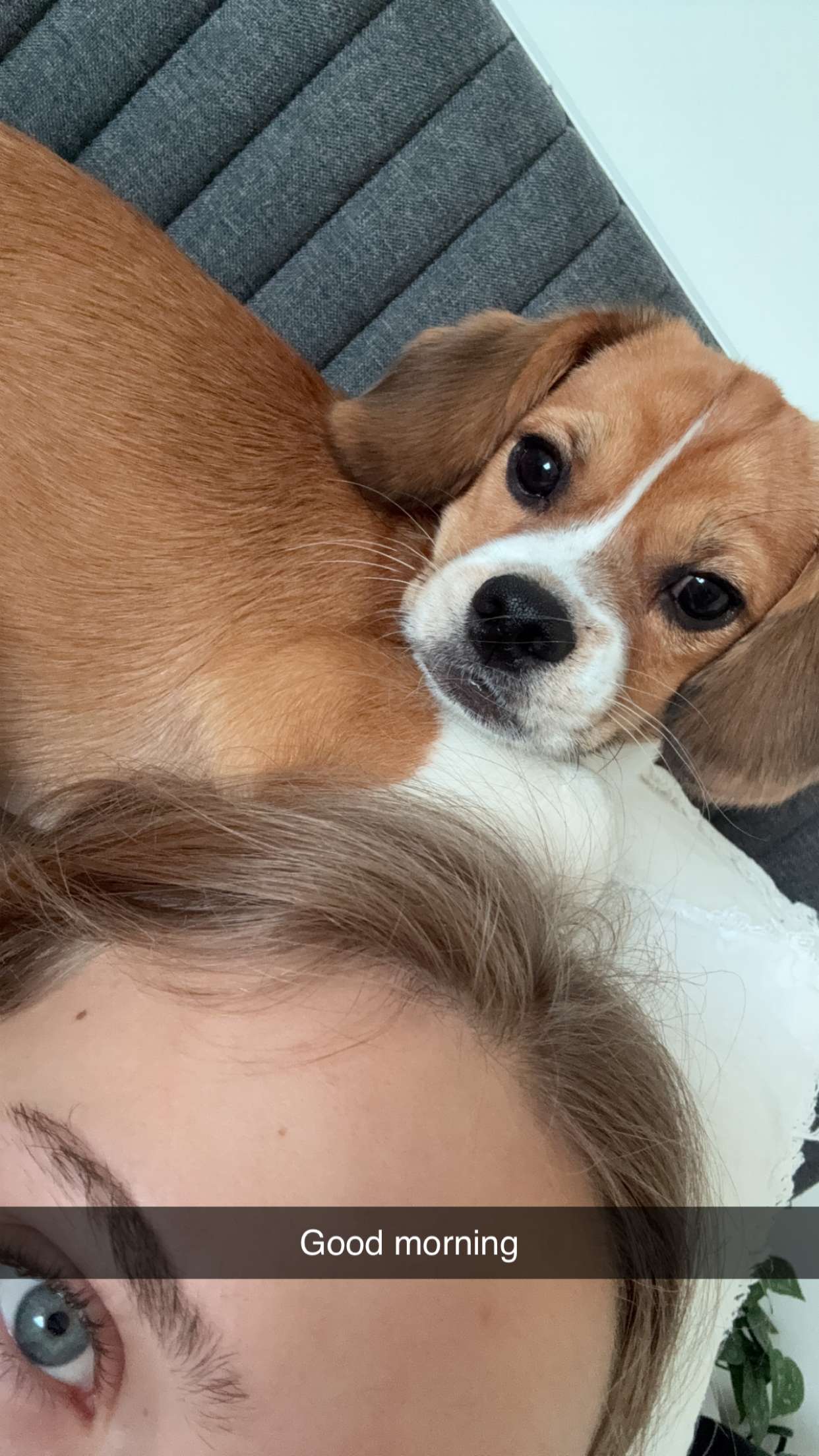 kydoddss snapchat image archive image