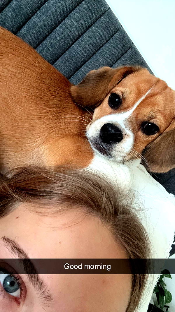 kydoddss image ~ Altpins