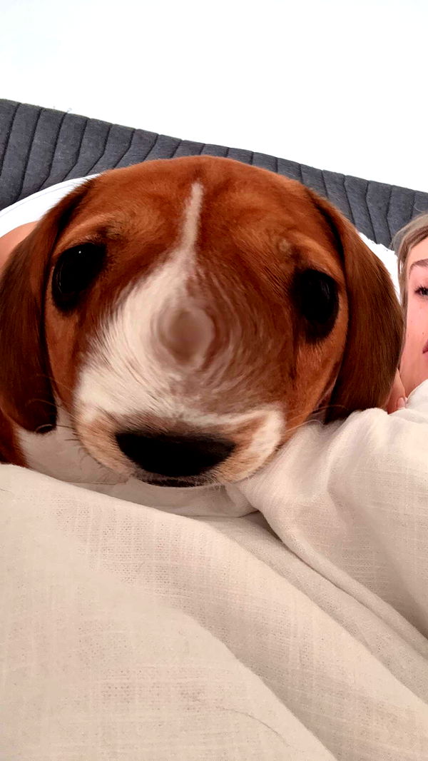 kydoddss image ~ Altpins