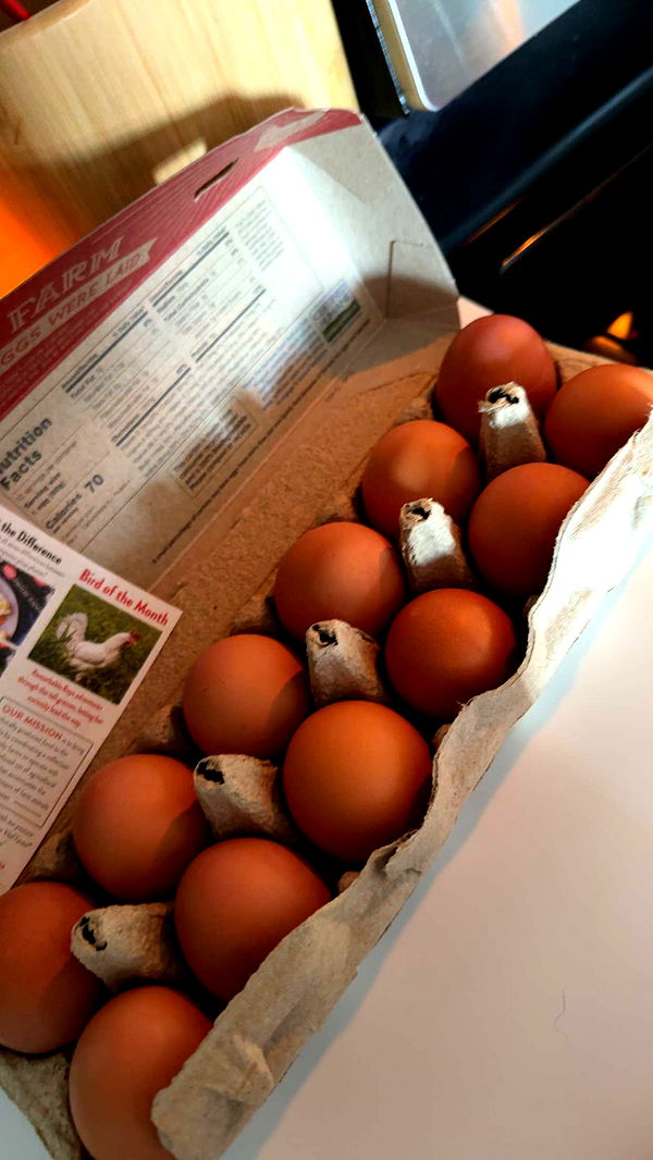 kydoddss image ~ Altpins