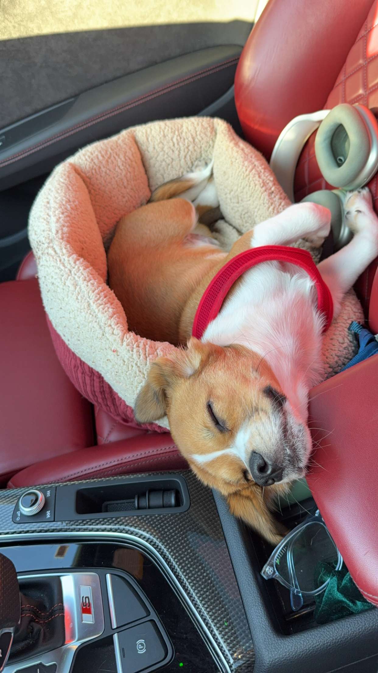 kydoddss snapchat image archive image