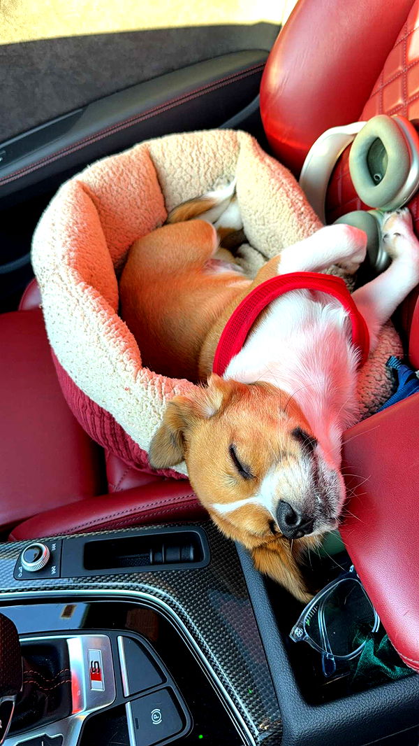 kydoddss image ~ Altpins