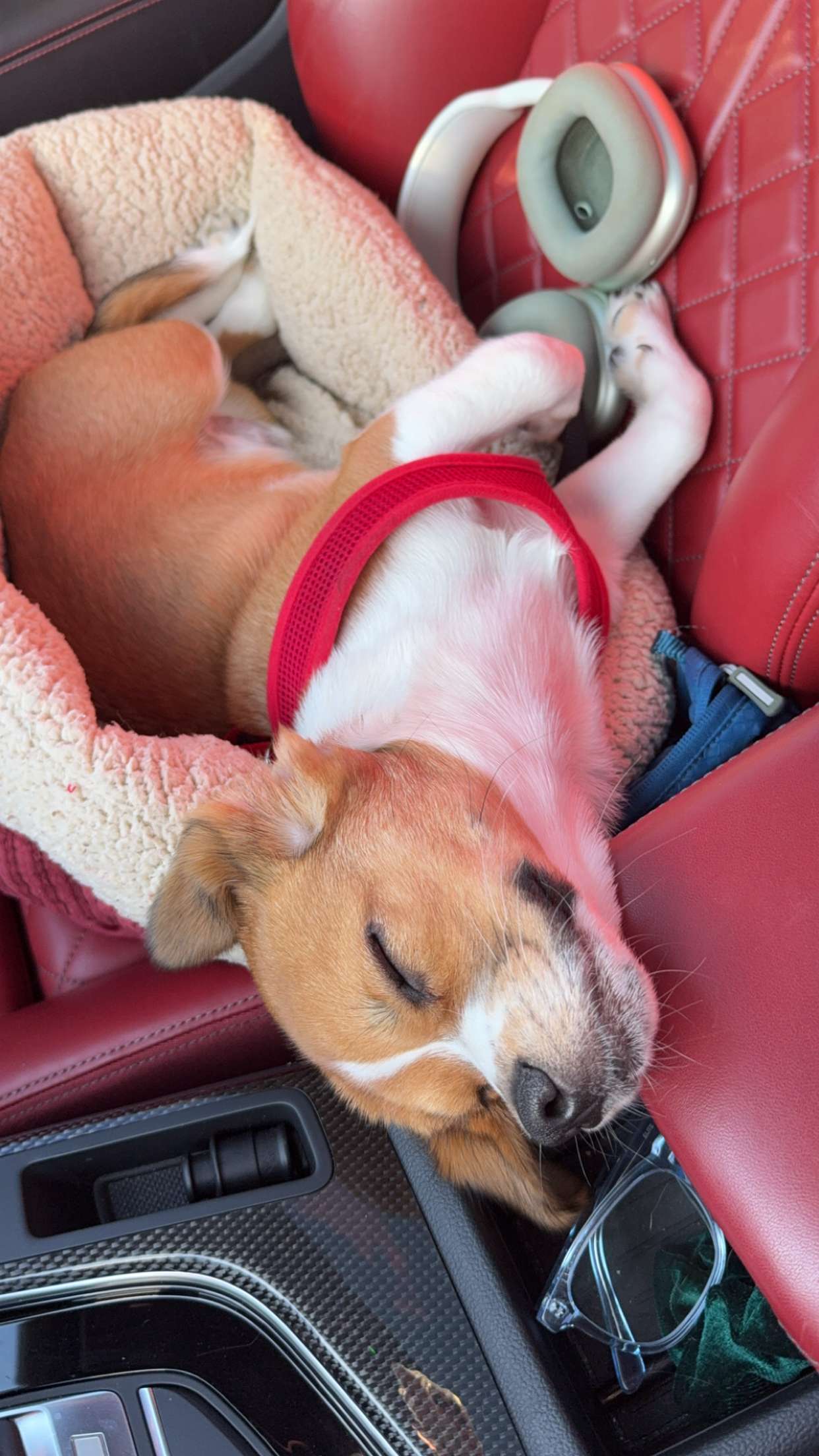 kydoddss snapchat image archive image