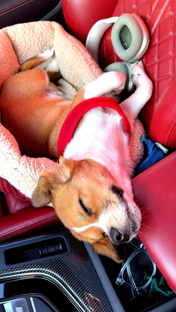 kydoddss image ~ Altpins