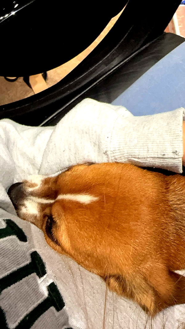 kydoddss image ~ Altpins